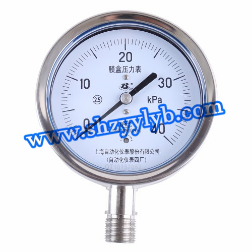 YE-100B不锈钢膜盒压力表.jpg